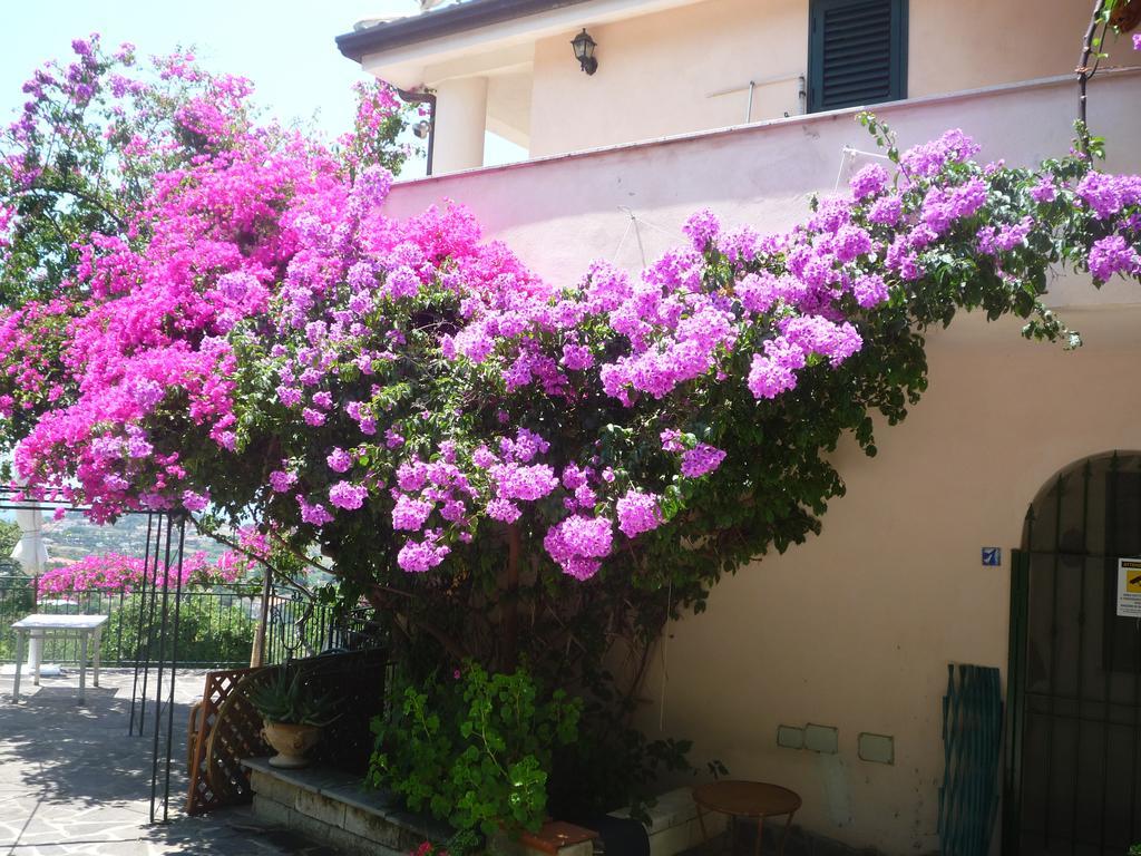 Villa Panthea Capo Vaticano Zewnętrze zdjęcie